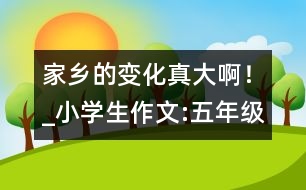 家鄉(xiāng)的變化真大??！_小學生作文:五年級