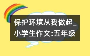 保護環(huán)境,從我做起_小學(xué)生作文:五年級