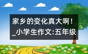 家鄉(xiāng)的變化真大?。小學(xué)生作文:五年級