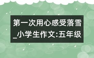 第一次用心感受落雪_小學生作文:五年級