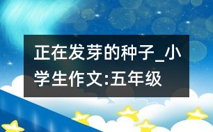 正在發(fā)芽的種子_小學生作文:五年級