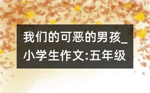 我們的可惡的男孩_小學(xué)生作文:五年級