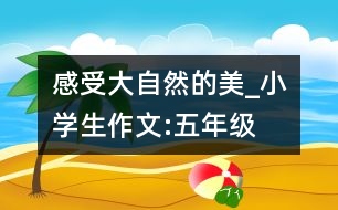 感受大自然的美_小學(xué)生作文:五年級(jí)