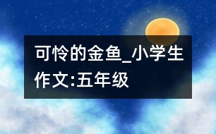 可憐的金魚(yú)_小學(xué)生作文:五年級(jí)