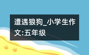 遭遇狼狗_小學(xué)生作文:五年級(jí)