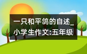 一只和平鴿的自述_小學(xué)生作文:五年級(jí)