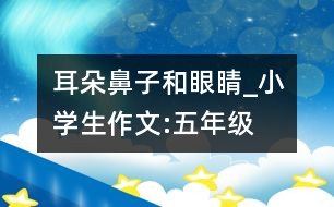 耳朵、鼻子和眼睛_小學(xué)生作文:五年級