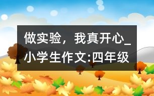 做實驗，我真開心_小學(xué)生作文:四年級