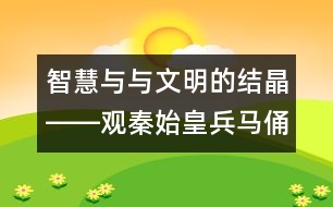 智慧與與文明的結(jié)晶――觀秦始皇兵馬俑后感_小學(xué)生作文:四年級