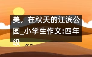 美，在秋天的江濱公園_小學生作文:四年級