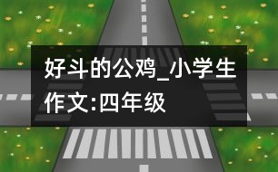 好斗的公雞_小學(xué)生作文:四年級
