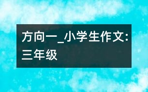 方向（一）_小學生作文:三年級
