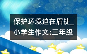 保護環(huán)境迫在眉捷_小學(xué)生作文:三年級