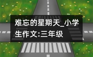 難忘的星期天_小學(xué)生作文:三年級(jí)