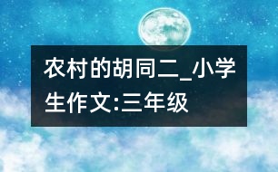 農(nóng)村的胡同（二）_小學生作文:三年級