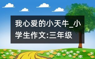 我心愛的小天牛_小學(xué)生作文:三年級