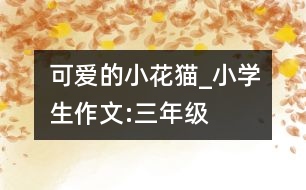 可愛的小花貓_小學(xué)生作文:三年級(jí)