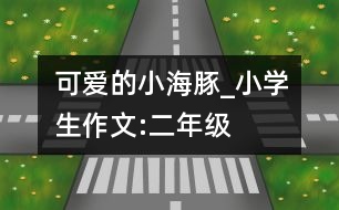 可愛的小海豚_小學(xué)生作文:二年級