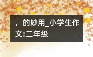“，”的妙用_小學(xué)生作文:二年級