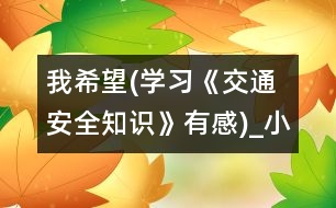 我希望(學(xué)習(xí)《交通安全知識(shí)》有感)_小學(xué)生作文:二年級