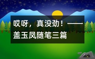 “哎呀，真沒勁！”――蓋玉鳳隨筆三篇