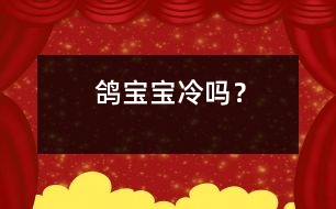 鴿寶寶冷嗎？
