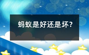 螞蟻是好還是壞？