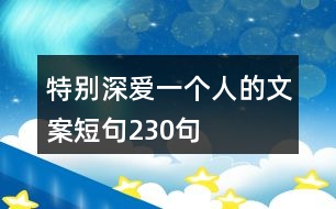 特別深?lèi)?ài)一個(gè)人的文案短句230句