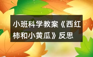小班科學教案《西紅柿和小黃瓜》反思