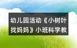 幼兒園活動《小樹葉找媽媽》小班科學教案反思