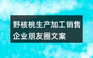 野核桃生產(chǎn)、加工、銷售企業(yè)朋友圈文案32句