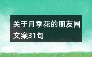 關于月季花的朋友圈文案31句