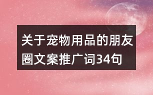 關(guān)于寵物用品的朋友圈文案、推廣詞34句