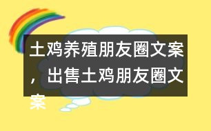 土雞養(yǎng)殖朋友圈文案，出售土雞朋友圈文案37句