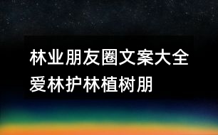 林業(yè)朋友圈文案大全：愛林、護林、植樹朋友圈文案40句
