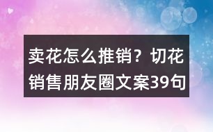 賣花怎么推銷？切花銷售朋友圈文案39句