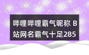 嗶哩嗶哩霸氣昵稱 B站網名霸氣十足285個