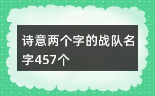 詩意兩個(gè)字的戰(zhàn)隊(duì)名字457個(gè)