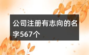 公司注冊有志向的名字567個(gè)