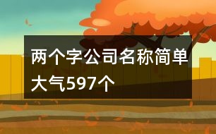 兩個(gè)字公司名稱簡單大氣597個(gè)