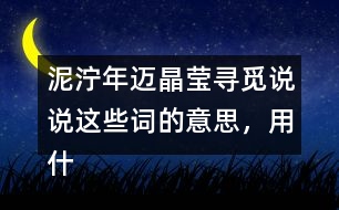 泥濘年邁晶瑩尋覓說說這些詞的意思，用什么方法知道的