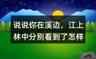 說說你在溪邊，江上、林中分別看到了怎樣的畫面。