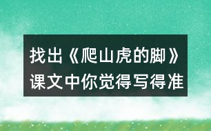 找出《爬山虎的腳》課文中你覺得寫得準(zhǔn)確、形象的句子，抄寫下來。