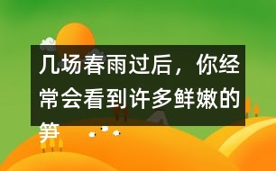 幾場(chǎng)春雨過后，你經(jīng)常會(huì)看到許多鮮嫩的筍，成群的從土里探出來，找到文中類似的句子