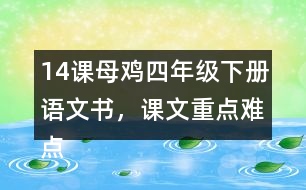 14課母雞四年級下冊語文書，課文重點(diǎn)難點(diǎn)筆記