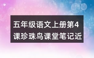五年級(jí)語(yǔ)文上冊(cè)第4課珍珠鳥課堂筆記近義詞反義詞