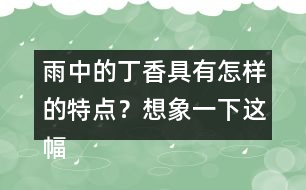 雨中的丁香具有怎樣的特點？想象一下這幅畫面。
