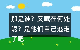 那是誰？又藏在何處呢？是他們自己逃走了吧……這樣表達(dá)好處在哪里？