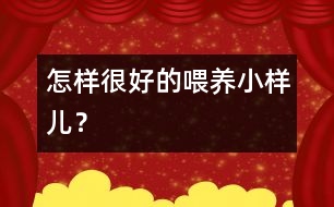 怎樣很好的喂養(yǎng)小樣兒？