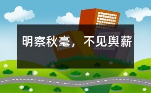 明察秋毫，不見輿薪